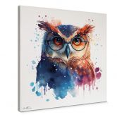 Leinwandbild Heine - Intelligente Eule mit Brille - Astro Cruise - Quadratisch 
