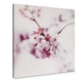 Canvas Pink Beauty 
