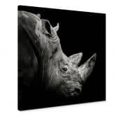 Leinwandbild Meermann - Das Nashorn - Quadratisch 