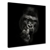 Leinwandbild Meermann - Der Gorilla - Quadratisch 