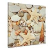 Leinwandbild Muscheln und Steine - Quadratisch 