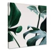 Leinwandbild Urban Jungle 03 - Monstera Deliciosa- Quadratisch 