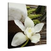 Tableau sur toile Orchidée wellness - Carré 