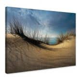 Leinwandbild Schuurmans - Stranddünen 