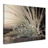 Leinwandbild Zahirimehr - Story of a Waterdrop - Wassertropfen 