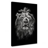 Leinwandbild Lion 