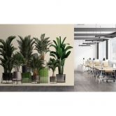 Livingwalls Fototapete Walls by Patel 3 Plant Shop 1 grün, beige, grau, schwarz 