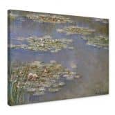 Claude Monet Waterlilies 1905 
