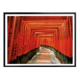 Poster Jardin asiatique 