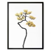 Poster Bonsai in Balance - Amini  