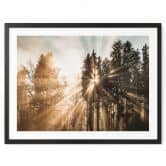 Natur Poster Lichtstrahlen im Wald - Eisenmann 
