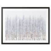 Poster Forêt de bouleaux en hiver - EMELIEmaria 