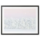 Waldposter Verschneiter Winterwald mit Mond - EMELIEmaria 