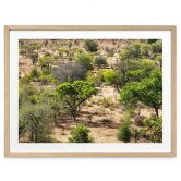 Plakat savannelandskab i Afrika - Hugonnard 
