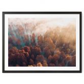 Poster Herbstwald im Nebel - Ioricon 