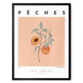 Poster Saftige Pfirsiche - Ivy Green Illustration 