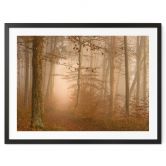 Poster Dunst und Licht im herbstlichen Wald - Maier 