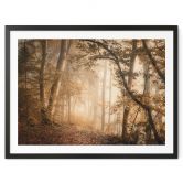 Poster Wald im morgendlichen Nebel - Maier 