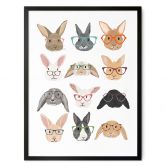 Poster Hasen mit Brillen - Melin 