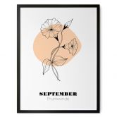 Personalisierbares Poster Monatsblume September 