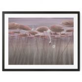 Poster Lotusblumen mit Schwan im Wasser in Altrosa - Ms Tiff 