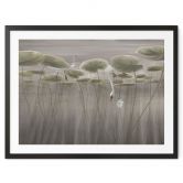 Poster Lotusblumen mit Schwan im Wasser in Grau - Ms Tiff 