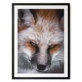 Poster Tierporträt Rotfuchs - Nagi 