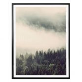 Poster Nebel im Wald 02 