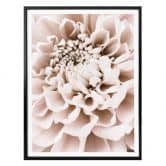 Poster 1X Studio - Chrysantheme 