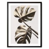 Poster 1X Studio - Goldene Monstera 