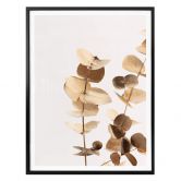 Poster 1X Studio - Goldener Eukalyptus 