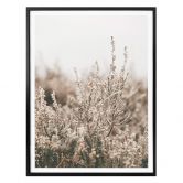 Plakat - Annie - Grass 