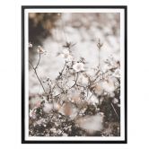 Poster Annie - Wildblumen 