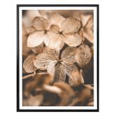 Plakat - Annie - Delicate Flowers 