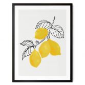 Poster Blursbyai - Illustration eines Zitronenzweiges 