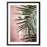 Poster Palmenblatt vor rosa Wand - Böhmer 