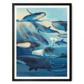 Poster Braun - Whales 
