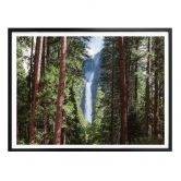 Poster Colombo - Wasserfall im Wald 
