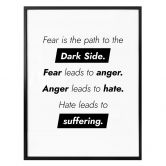 Poster Fear is the path to the Dark Side 