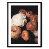 Poster FiguraNYC Photography - Ranunkeln Stillleben 