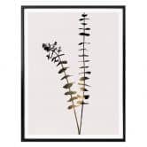 Poster Kubistika - Schwarz-Goldener Eukalyptus 