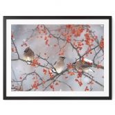 Poster Li - Drei Vögel in einer Winterlandschaft 