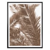 Poster Palmwedel 