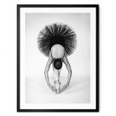 Poster Pentony MA - Ballerina Schwarz-Weiß 