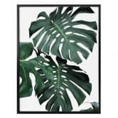 Plakat - Sisi & Seb - Monstera 