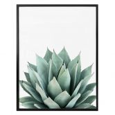 Poster Sisi & Seb - Succulente 
