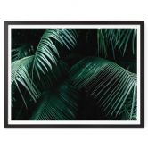 Poster Botanique tropicale 