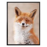 Poster van Duijn - Zufriedener Fuchs 