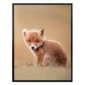 Plakat - van Duijn - Baby fox 
