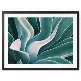 Poster Wechsler - Agave in de Ochtend 